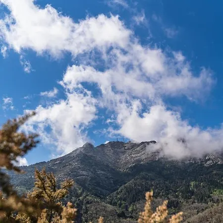 Apartament A Casa Di Tony - Goelba