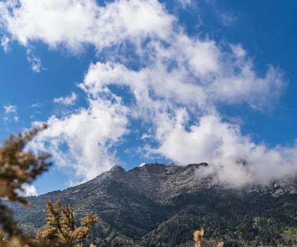 דירה A Casa Di Tony - Goelba